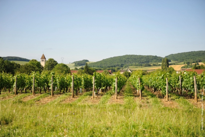 Pierre Laurent Vigneron